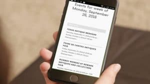 Fleamapket flea market search results on smartphone screen