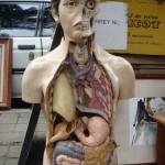 image33