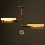 Industrial brass twin cage tube ceiling light by Edison Light Globes