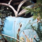 60 Vintage Cars Found After 50 Years Worth At Least 19 Million Pictures Roger Baillon Collection 001