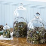 Bell Jars Glass Domes
